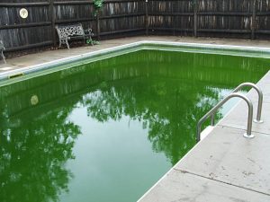 que hacer cuando el agua de la piscina esta verde
